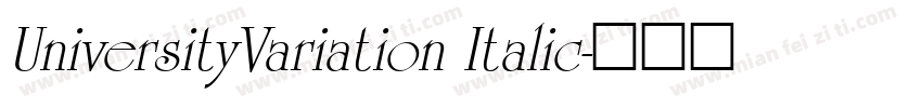 UniversityVariation Italic字体转换